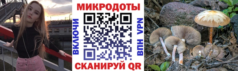 Псилоцибиновые грибы мицелий  Купить закладки  Переславль-Залесский 